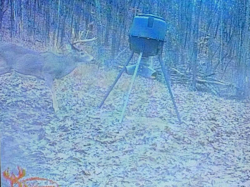 189 Hamilton Road, Lynx, OH 45650 Photo 73