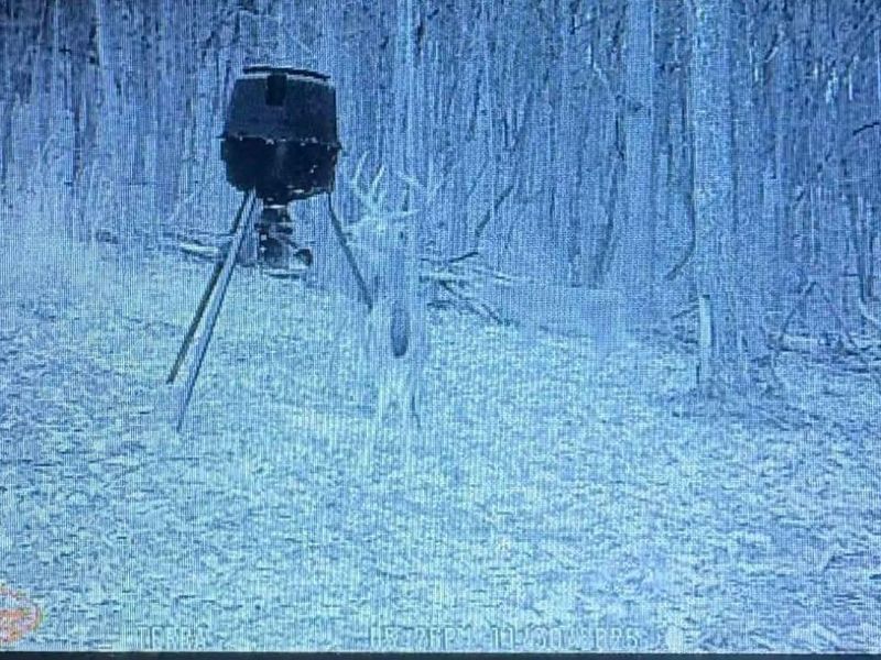 189 Hamilton Road, Lynx, OH 45650 Photo 74