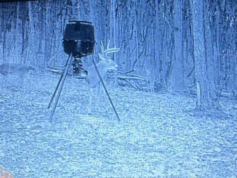 189 Hamilton Road, Lynx, OH 45650 Photo 75