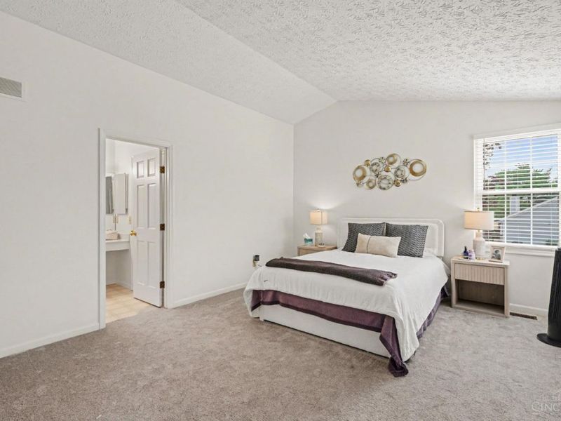 100 Thorobred Road, Loveland, OH 45140 Photo 10