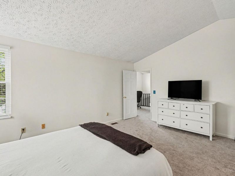 100 Thorobred Road, Loveland, OH 45140 Photo 11