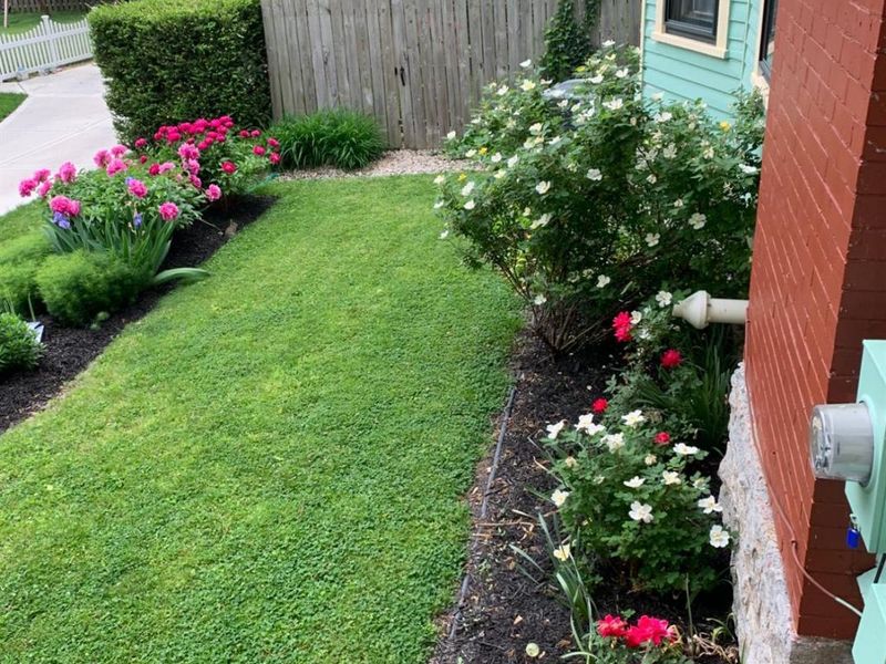 2263 Monroe Avenue, Cincinnati, OH 45212 Photo 55