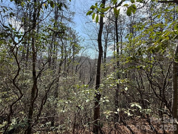 00 Line Runner Ridge Road , Rosman, NC 28722