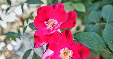 6410 Capital Cir #32, Unit 32, Sacramento, CA 95828 Photo