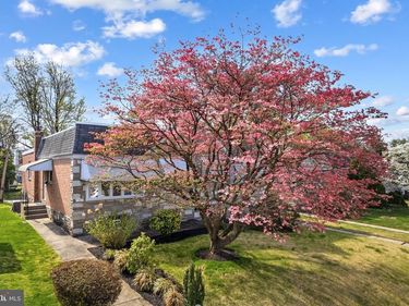 7367 SHELBOURNE STREET , PHILADELPHIA, PA 19111