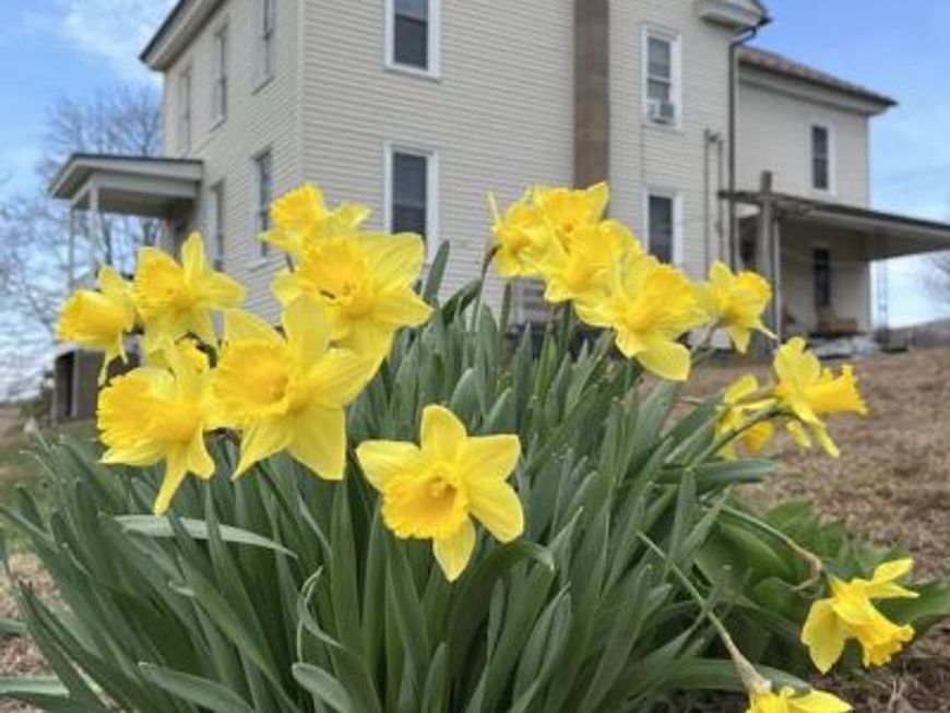 148 Falck Road , Rebuck, PA 17867 Main Photo