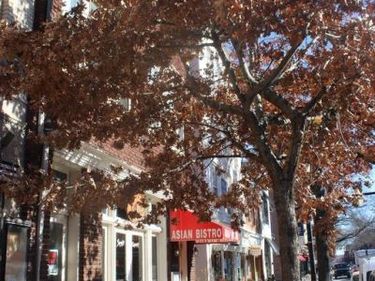 809 1/2 KING STREET , Unit 3, ALEXANDRIA, VA 22314