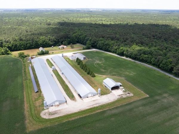 5405 WESLEY ROAD , HURLOCK, MD 21643