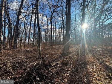 STATE STREET , MERTZTOWN, PA 19539