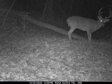 HOPKINS GAP RD, FULKS RUN, VA 22830