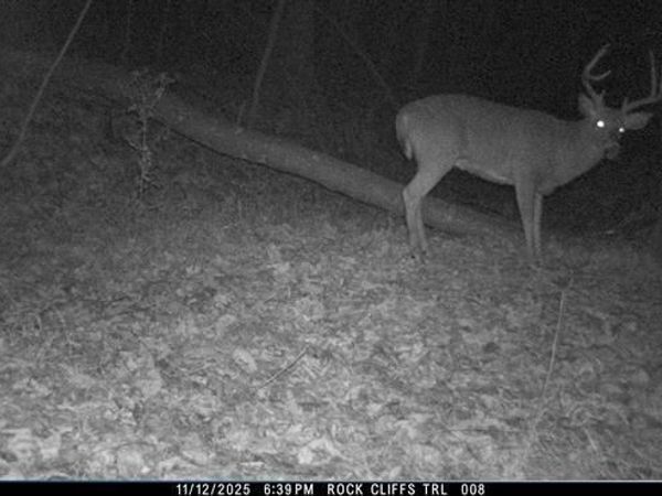 HOPKINS GAP RD, FULKS RUN, VA 22830