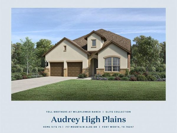 717 Mountain Aloe Drive, Fort Worth, TX 76247