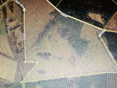 1725 Bethel Forest Road , Rowesville, SC 29133