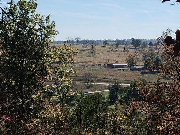 357 E Rolla Street , Hartville, MO 65667