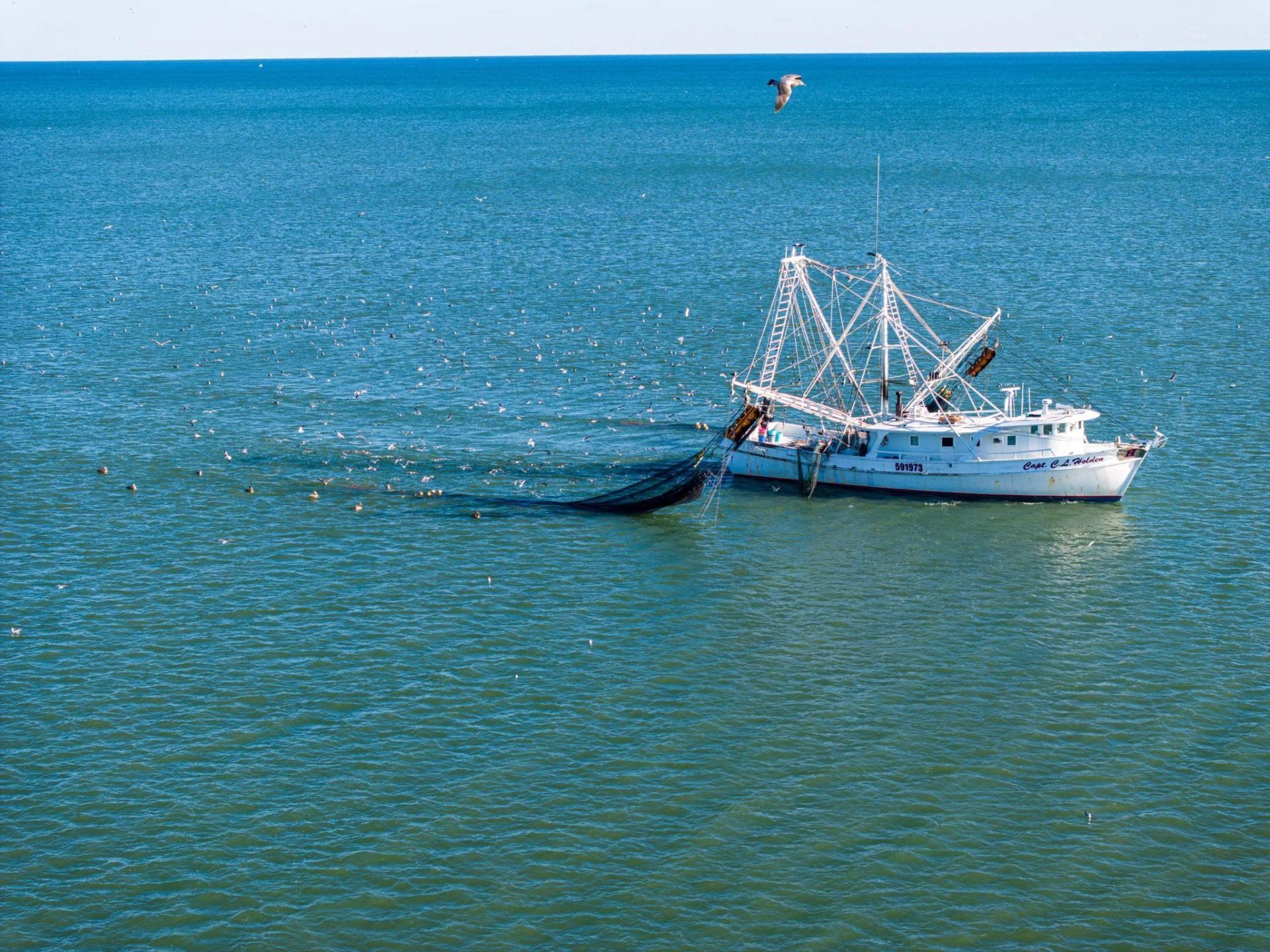 109 Easy St. Photo 45