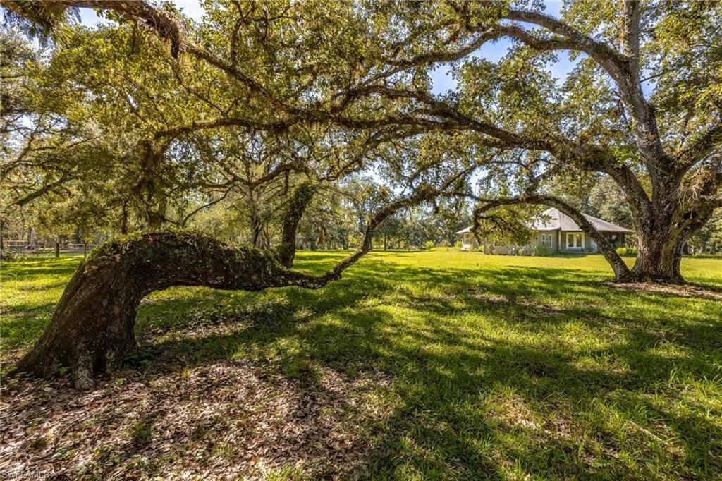 2348 Nine Mile Rd , Labelle, FL 33935 Photo