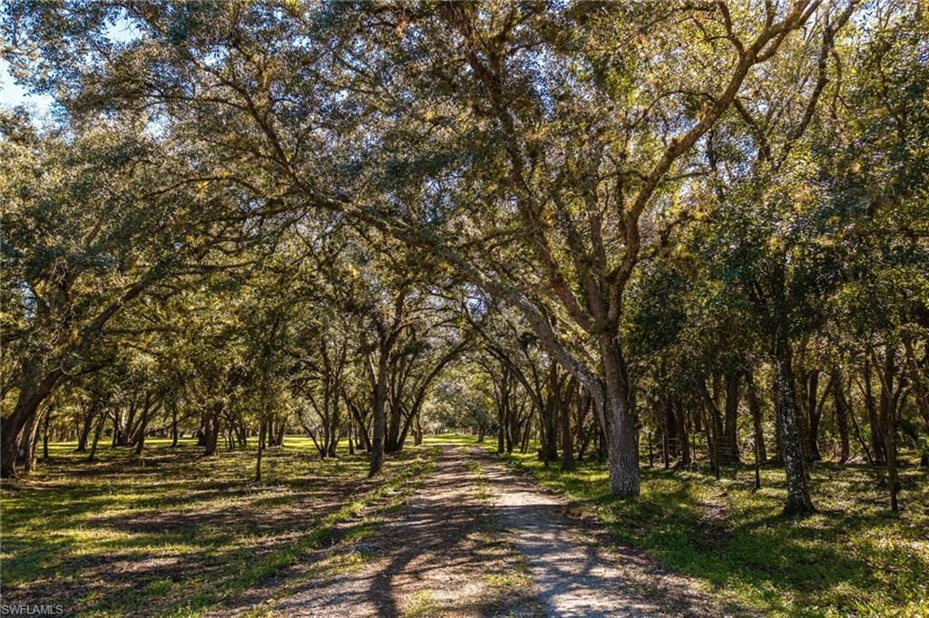 2348 Nine Mile Rd , Labelle, FL 33935 Photo