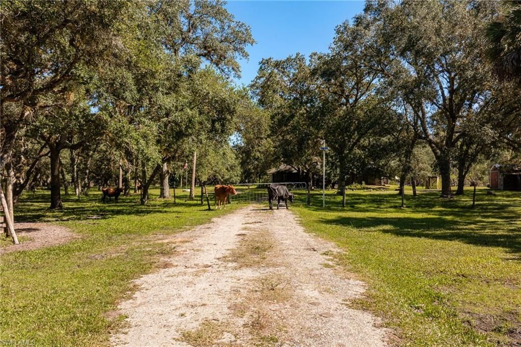 2348 Nine Mile Rd , Labelle, FL 33935 Photo