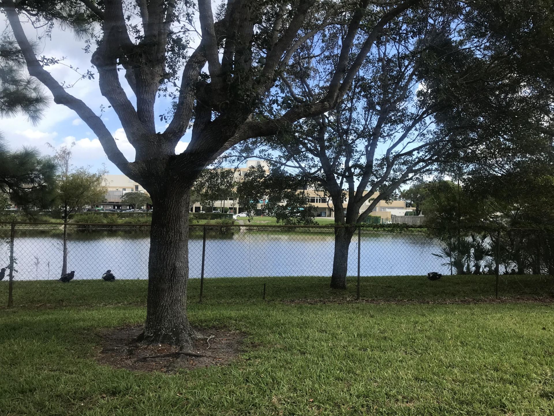 431 Jupiter Lakes Boulevard, Unit 2110d, Jupiter, FL 33458 Photo