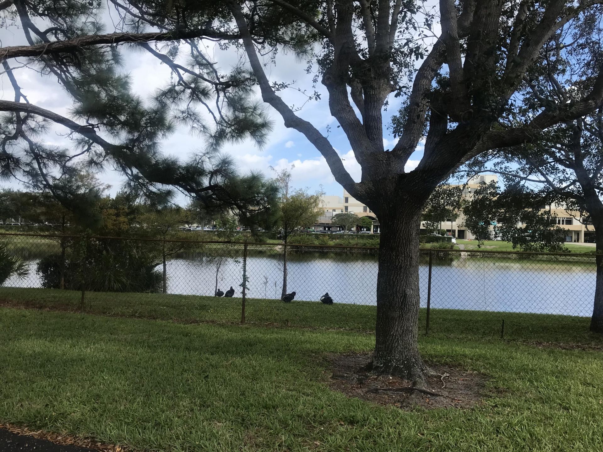 431 Jupiter Lakes Boulevard, Unit 2110d, Jupiter, FL 33458 Photo