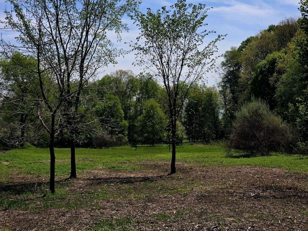 S Baldwin Avenue, White Cloud, MI 49349