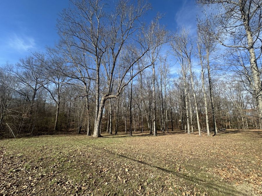 Property Image 33