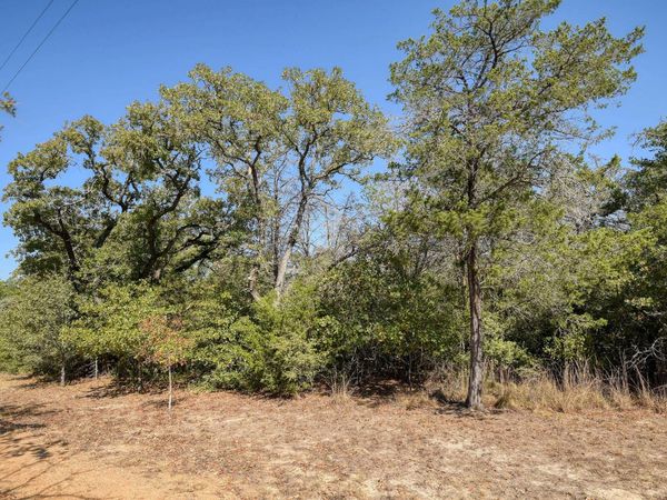 181 Lockwood RD , Red Rock, TX 78662