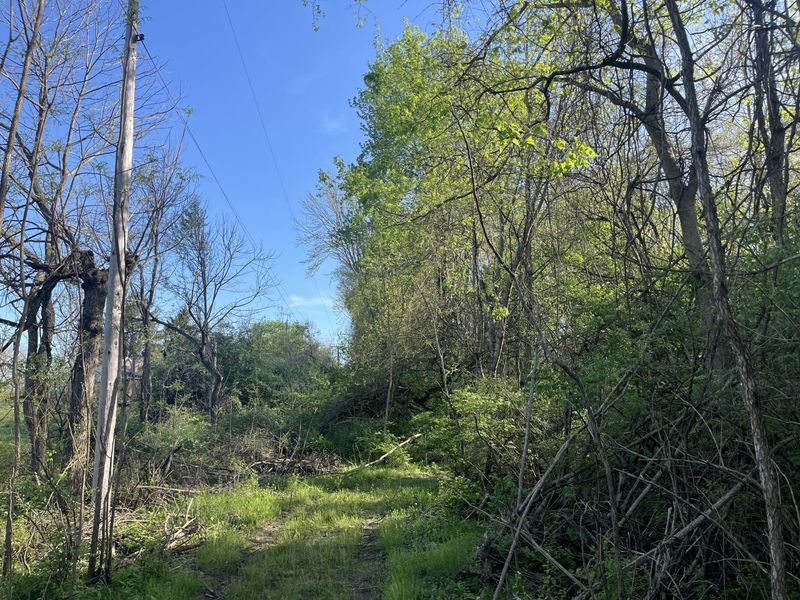 4004 Sintz Road, Springfield, OH 45504 Photo 11