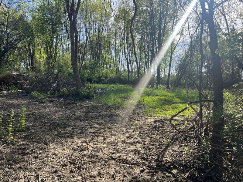 4004 Sintz Road, Springfield, OH 45504 Photo 12