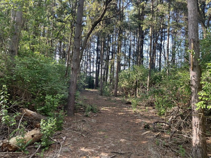 4004 Sintz Road, Springfield, OH 45504 Photo 14