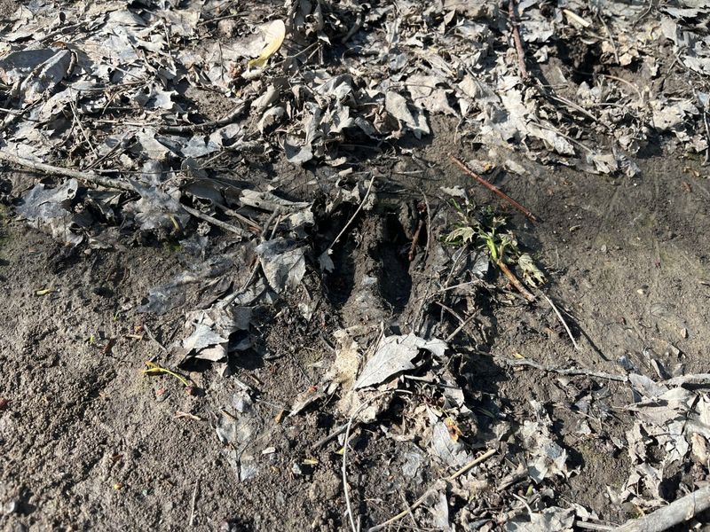 4004 Sintz Road, Springfield, OH 45504 Photo 18