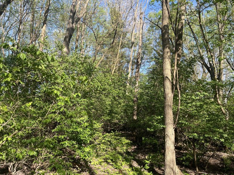 4004 Sintz Road, Springfield, OH 45504 Photo 20