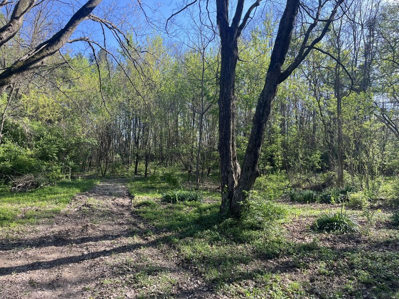 4004 Sintz Road, Springfield, OH 45504 Photo 24