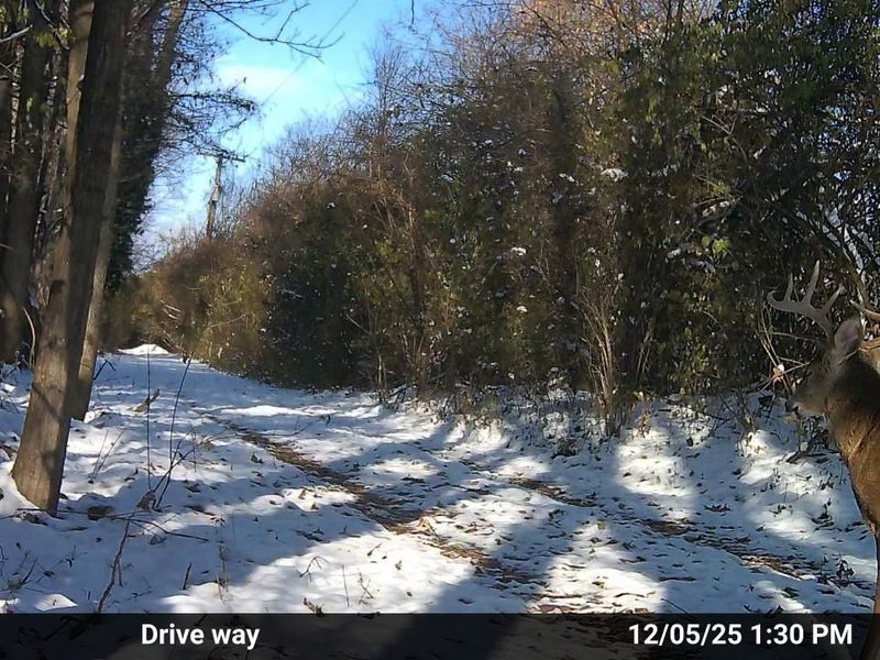 4004 Sintz Road, Springfield, OH 45504 Photo 26