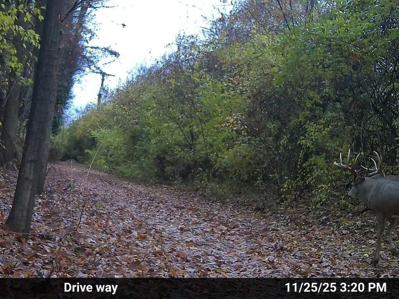 4004 Sintz Road, Springfield, OH 45504 Photo 27