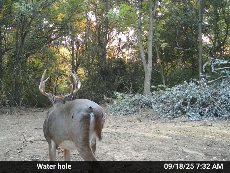 4004 Sintz Road, Springfield, OH 45504 Photo 29