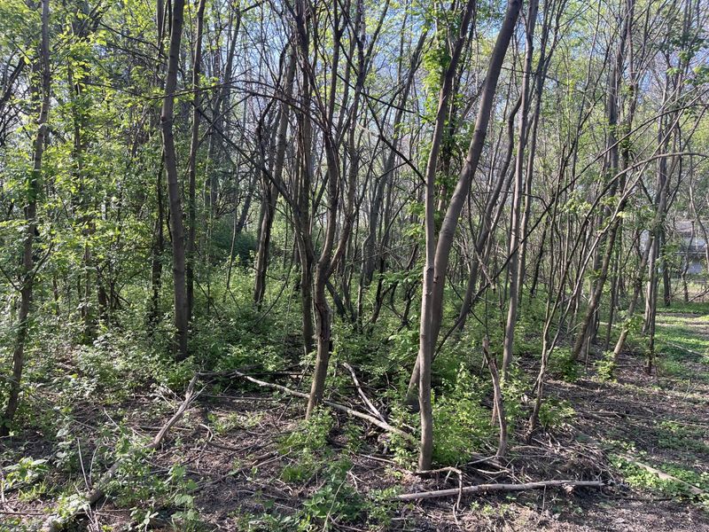 4004 Sintz Road, Springfield, OH 45504 Photo 8