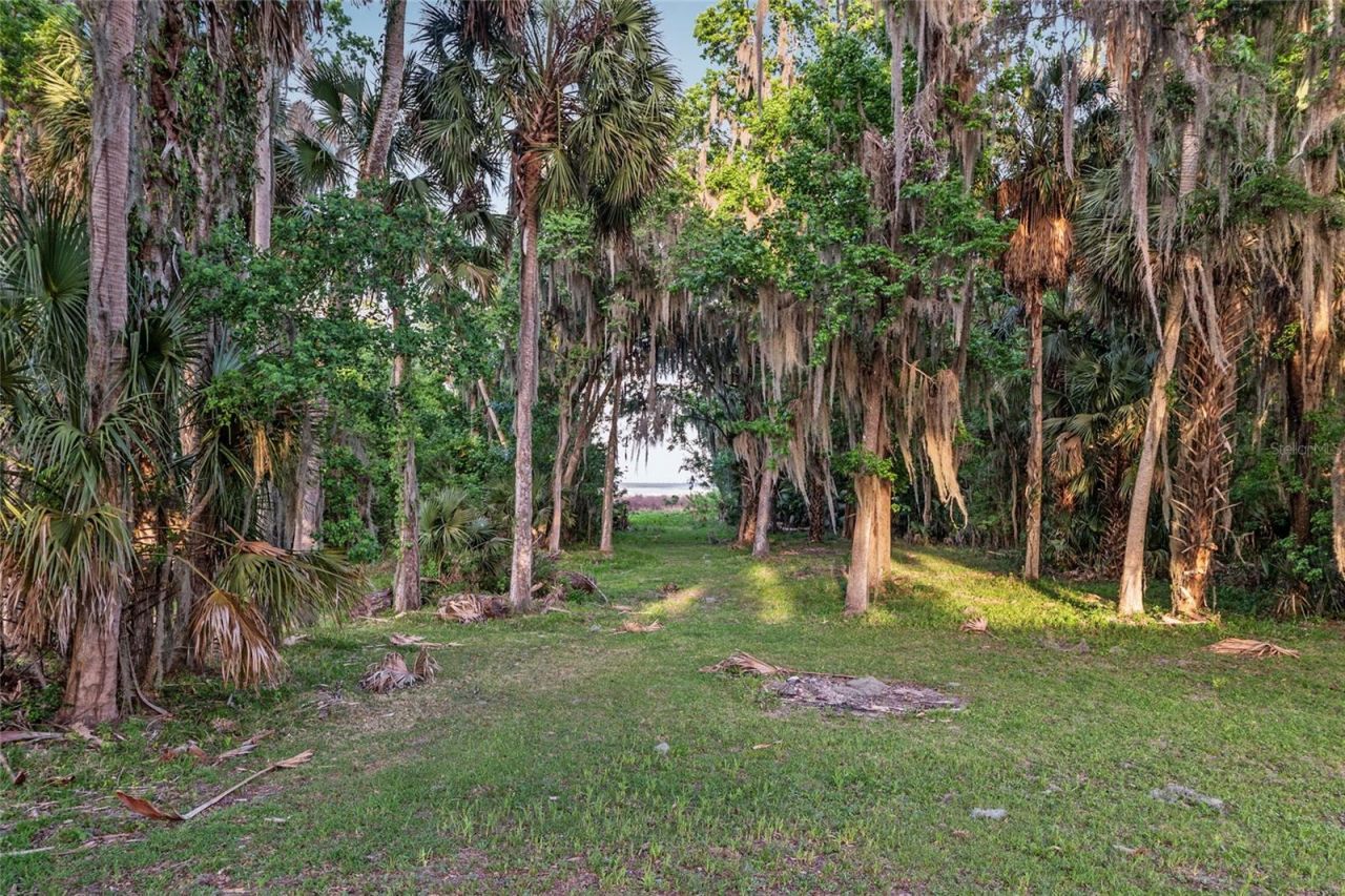 20361 1st Street, Mc Intosh, FL 32664 Photo