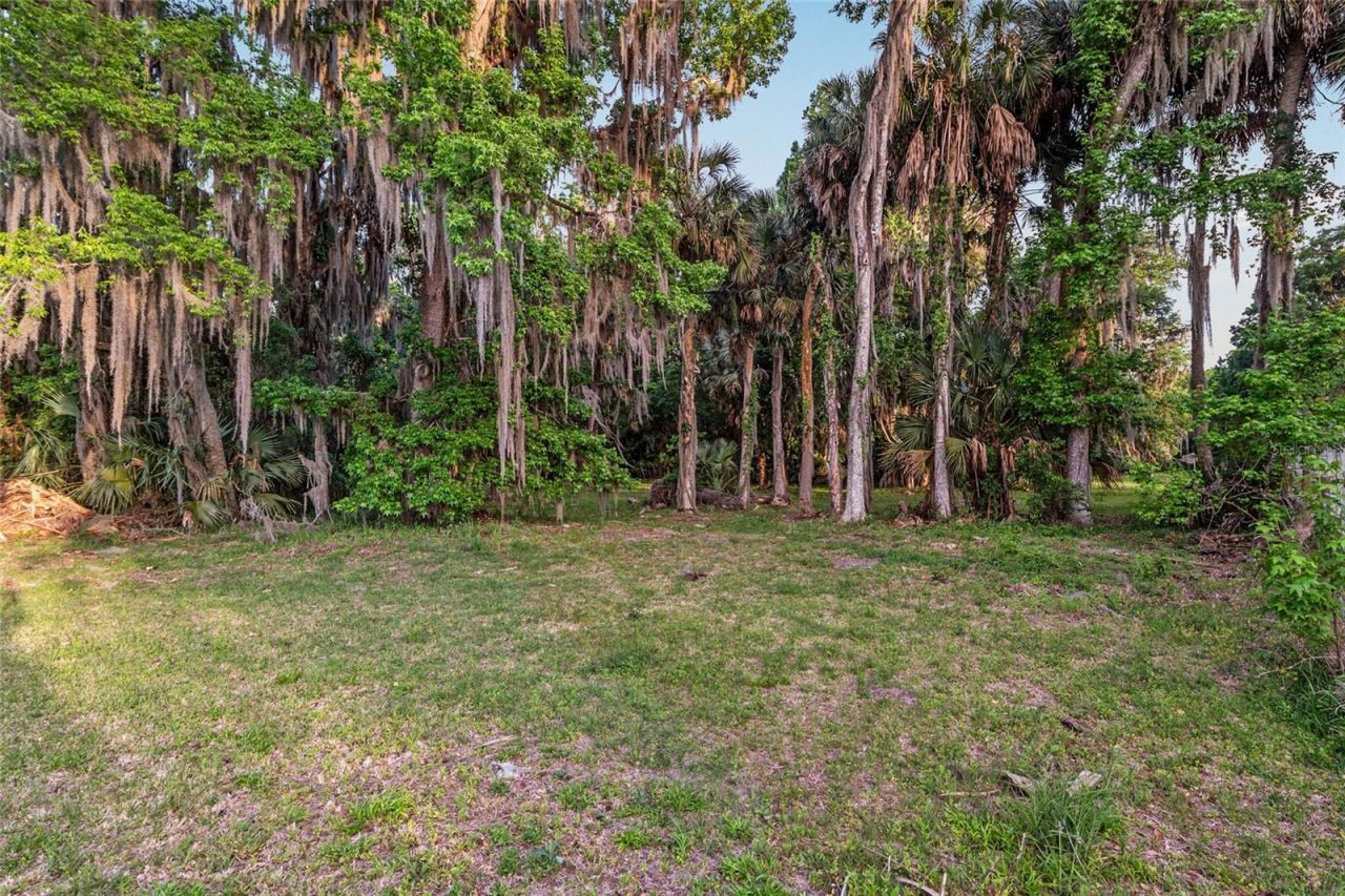 20361 1st Street, Mc Intosh, FL 32664 Photo