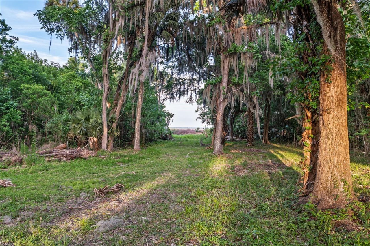 20361 1st Street, Mc Intosh, FL 32664 Photo