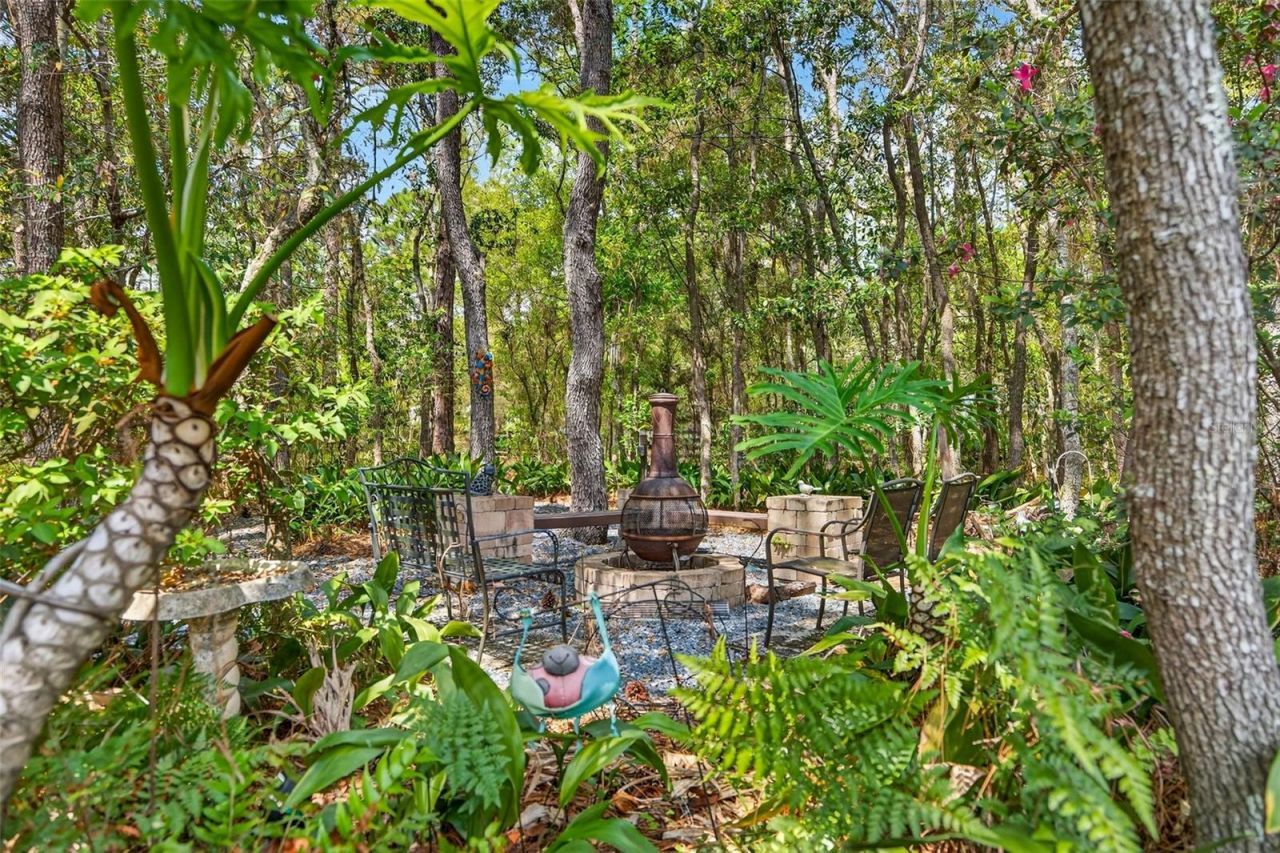 3783 W Birds Nest Drive, Beverly Hills, FL 34465 Photo