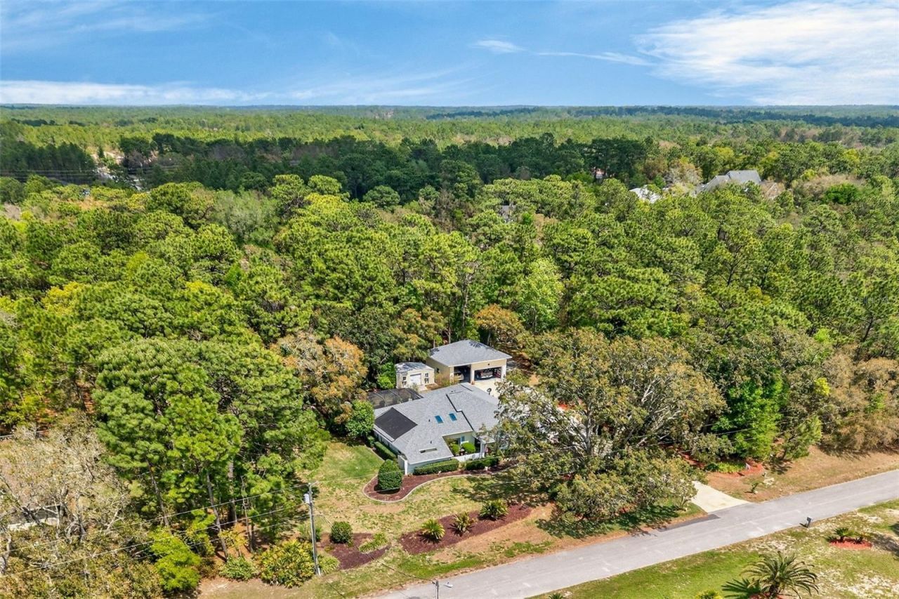 3783 W Birds Nest Drive, Beverly Hills, FL 34465 Photo