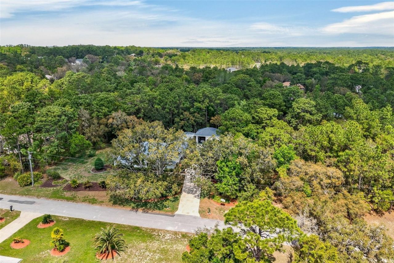 3783 W Birds Nest Drive, Beverly Hills, FL 34465 Photo