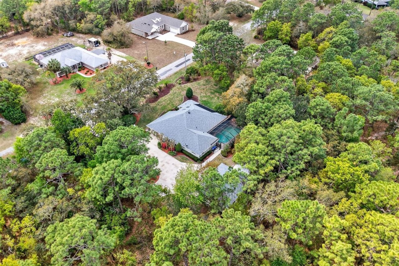 3783 W Birds Nest Drive, Beverly Hills, FL 34465 Photo