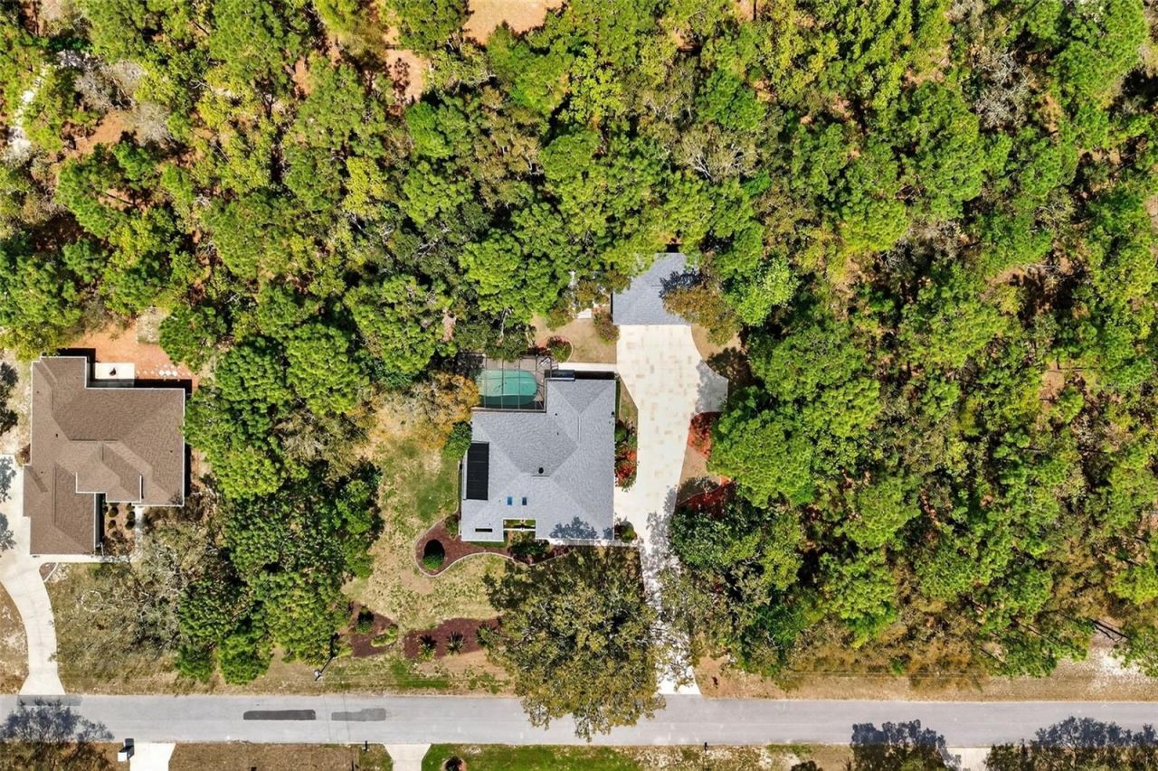 3783 W Birds Nest Drive, Beverly Hills, FL 34465 Photo