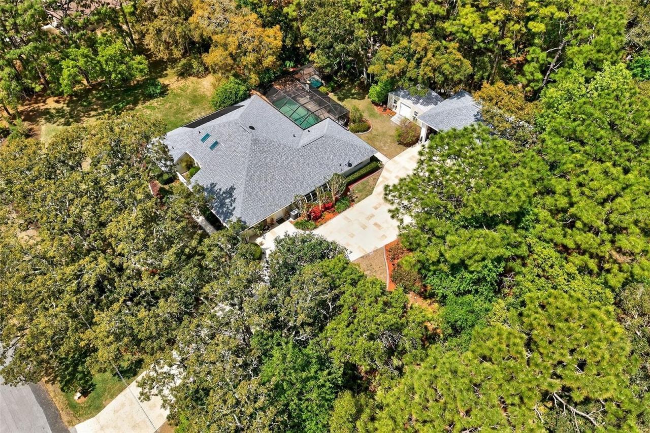 3783 W Birds Nest Drive, Beverly Hills, FL 34465 Photo