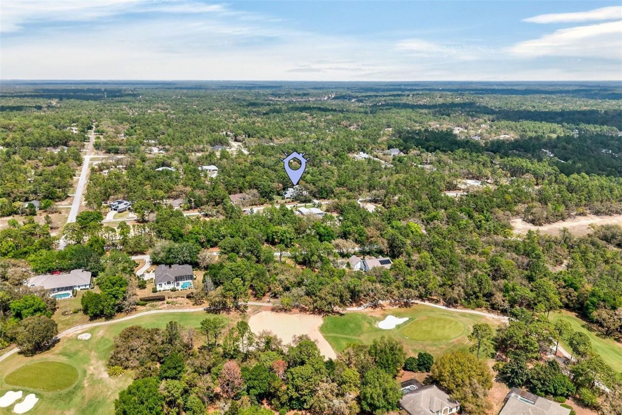3783 W Birds Nest Drive, Beverly Hills, FL 34465 Photo