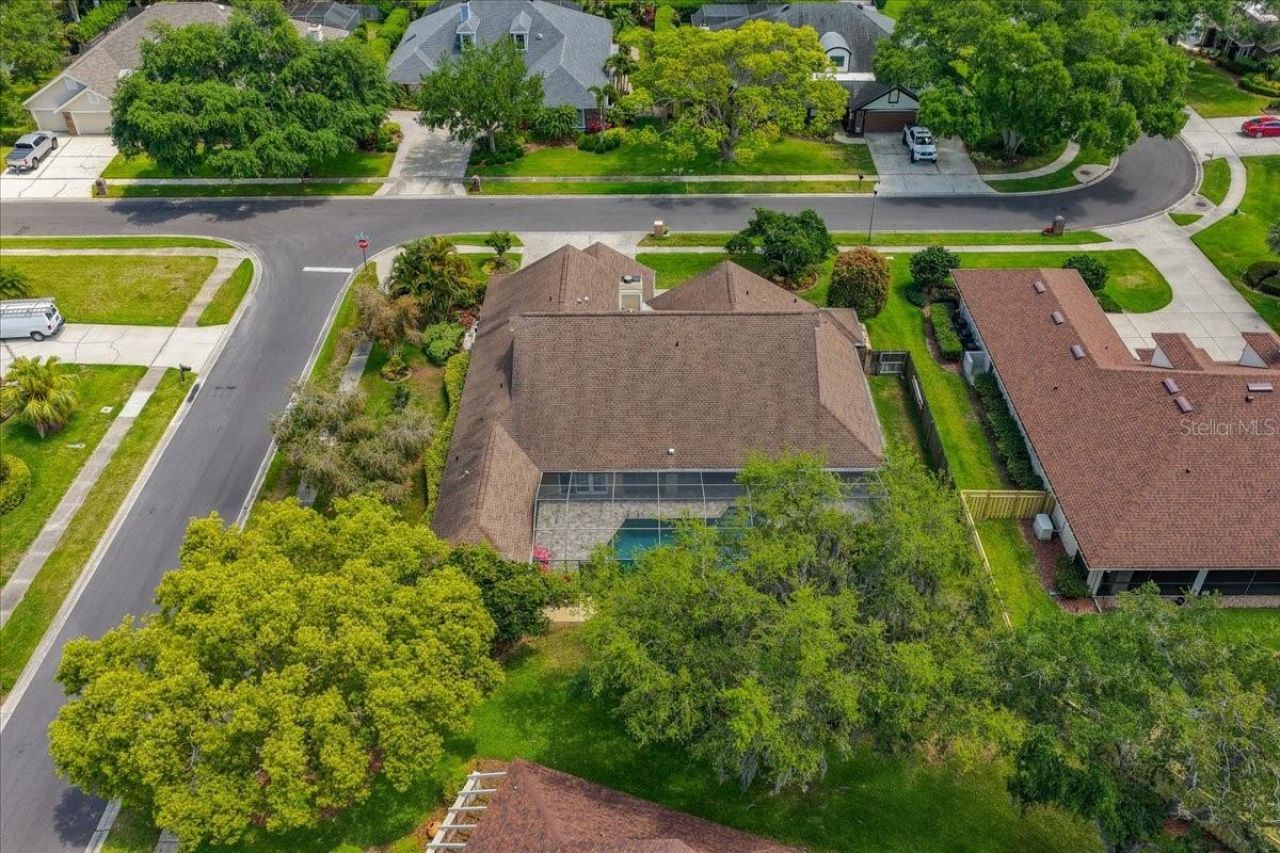 325 Sheffield Circle W, Palm Harbor, FL 34683 Photo