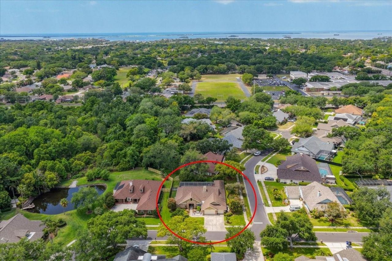 325 Sheffield Circle W, Palm Harbor, FL 34683 Photo