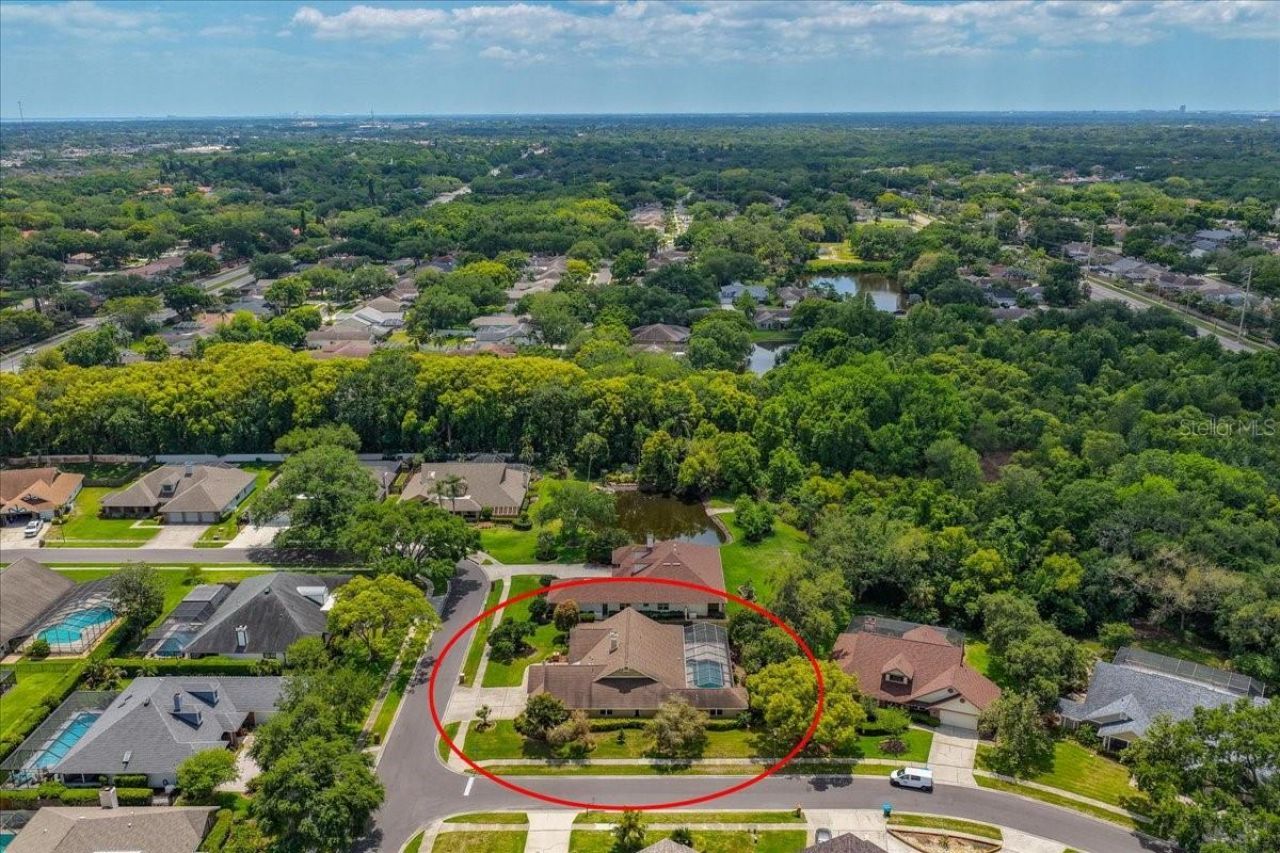 325 Sheffield Circle W, Palm Harbor, FL 34683 Photo